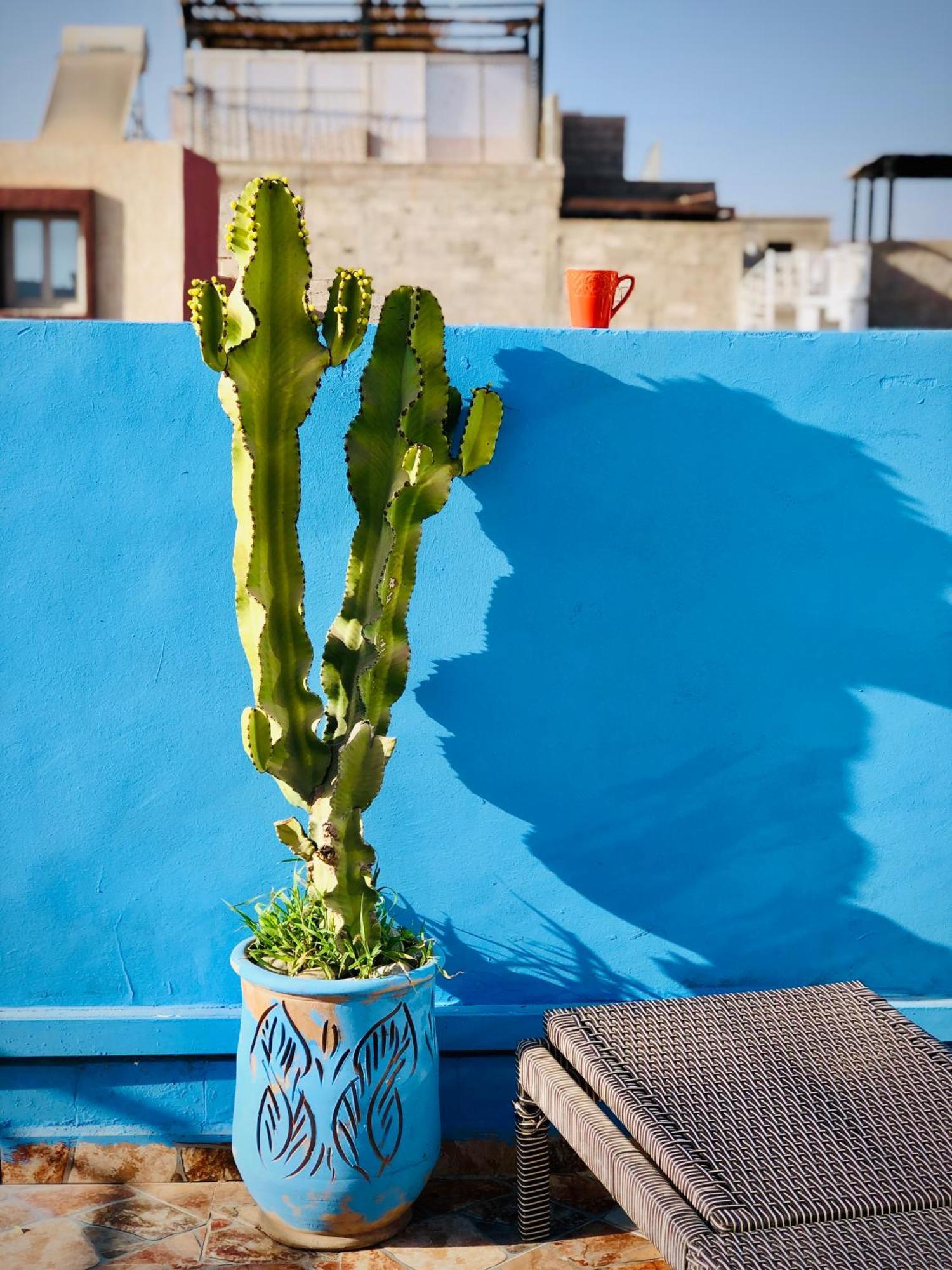 Moroccan Surf Journey Tamraght ภายนอก รูปภาพ